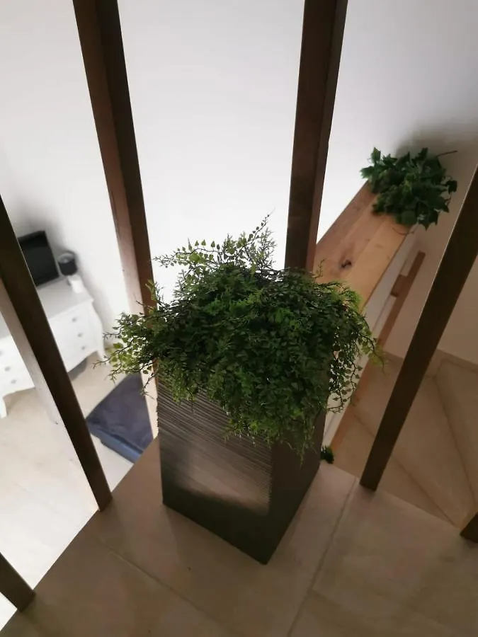 Mandre Penthouse Duplex Apartment